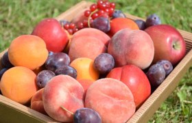 Fr&uuml;chte-Sortiment, &copy; Familie Schreiber