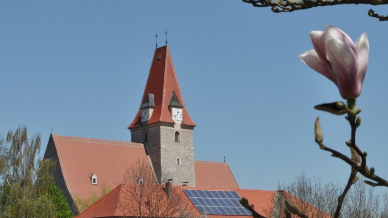 Kirche mit rotem Dach und Uhrturm, blauer Himmel, Magnolienblüte im Vordergrund.