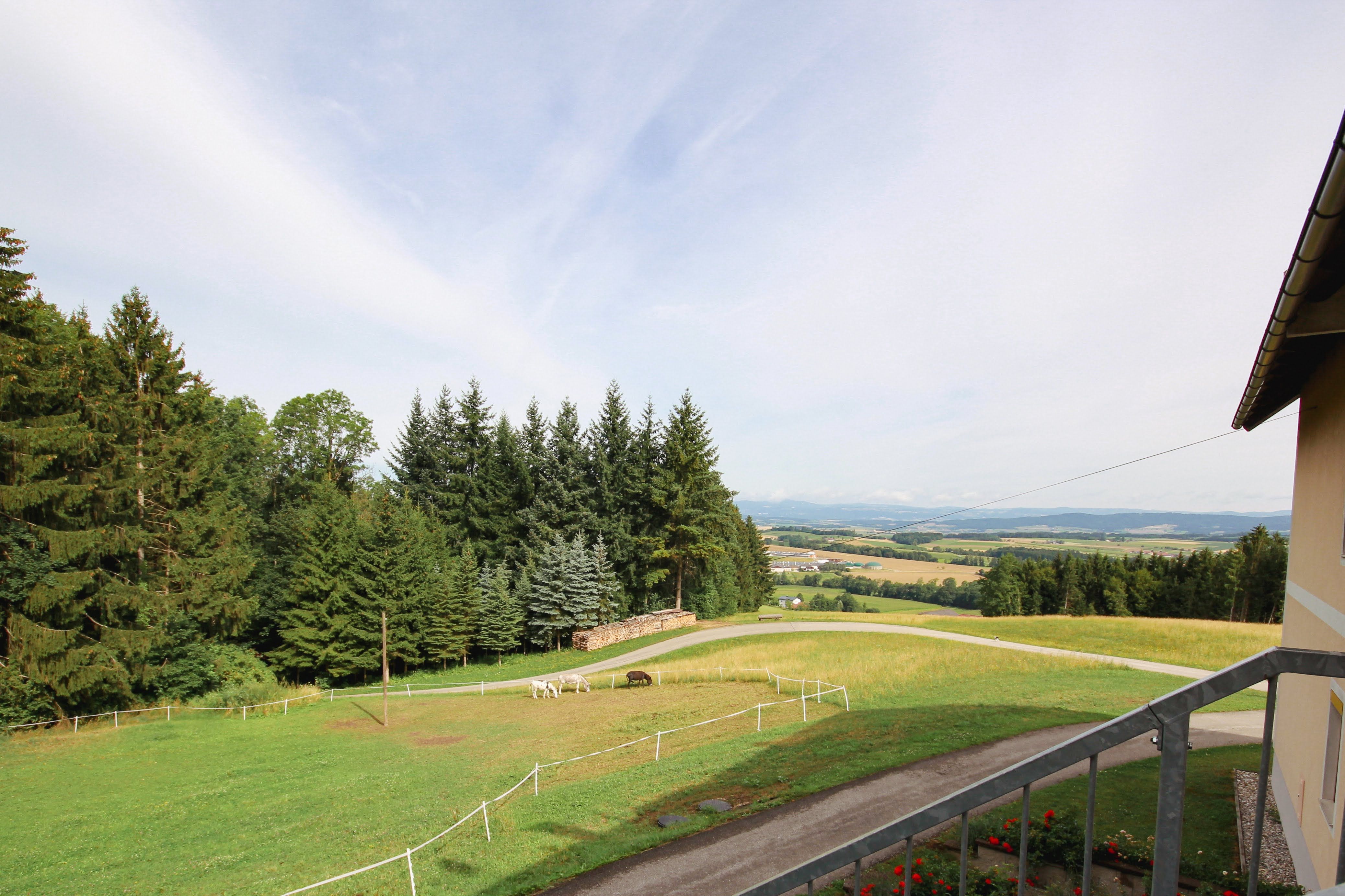 aussicht-beim-eingang