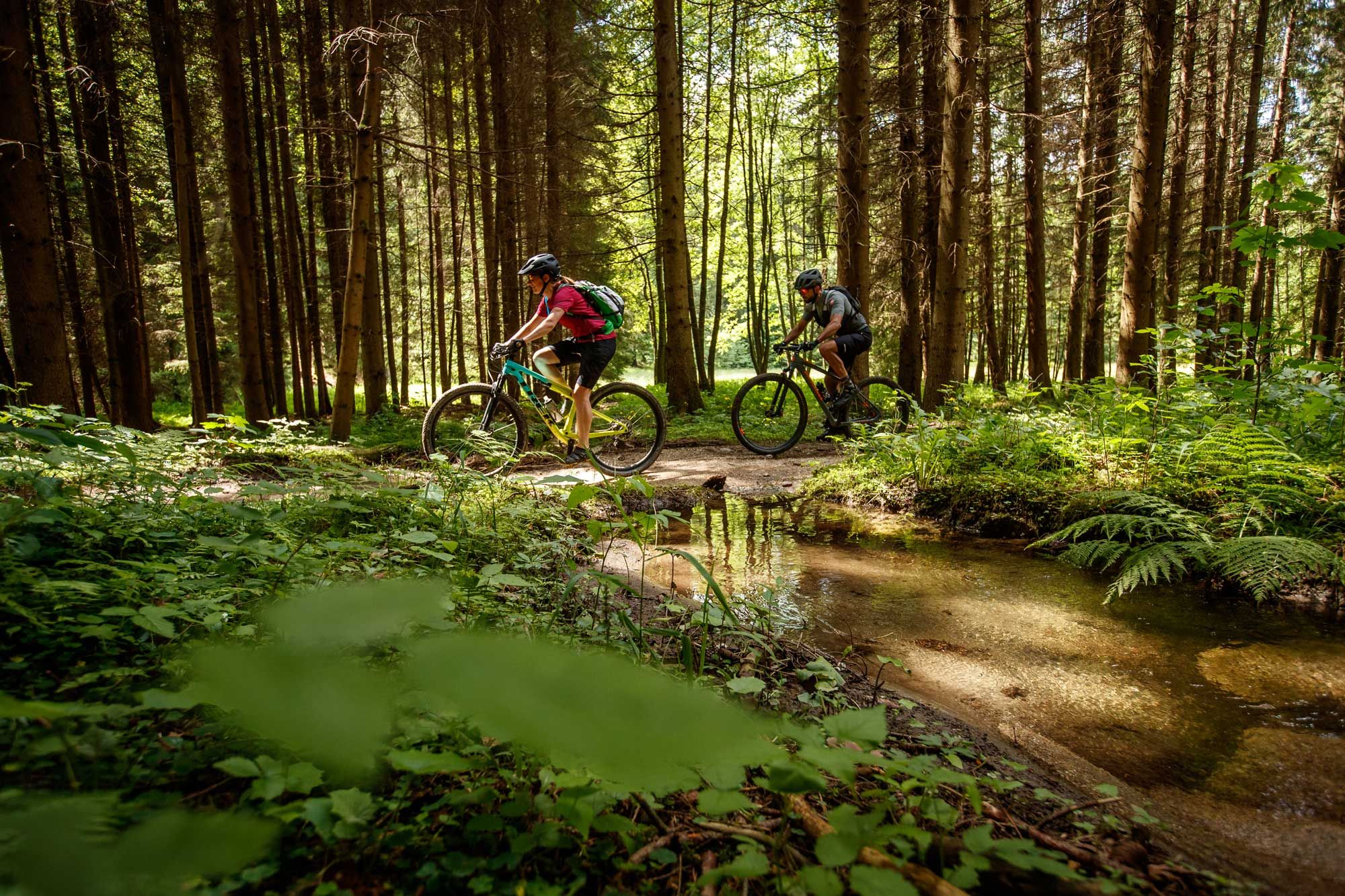 Zwei Mountainbiker fahren durch einen Wald auf einem schmalen Pfad neben einem Bach.