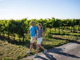 Kogelbergweg, &copy; POV