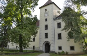 Historisches Gebäude mit Turm und Bäumen im Vordergrund.