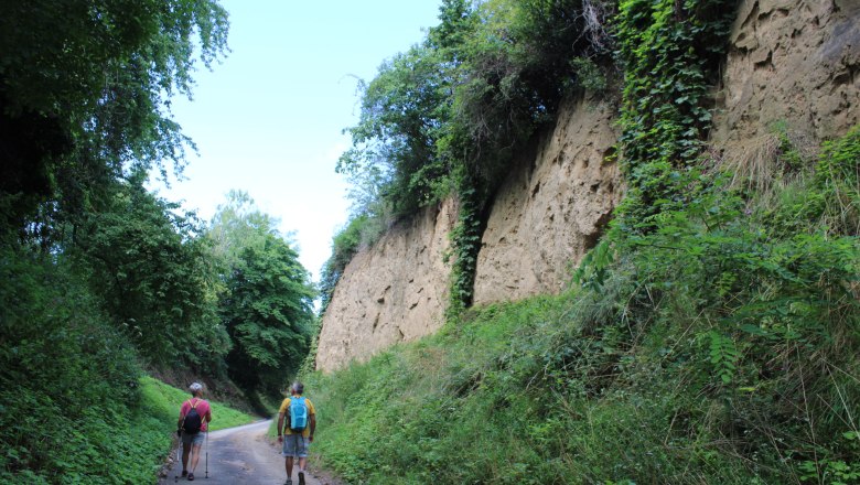 Hohlweg Zellergraben, &copy; Donau N&ouml; Tourismus_Vera Pulker