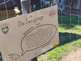 Tiere am Keltenberg, &copy; Wiener Alpen in Nieder&ouml;sterreich