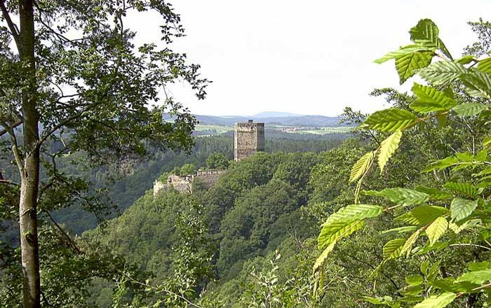 Ruine Schauenstein auf einem bewaldeten H&uuml;gel, umgeben von B&auml;umen.
