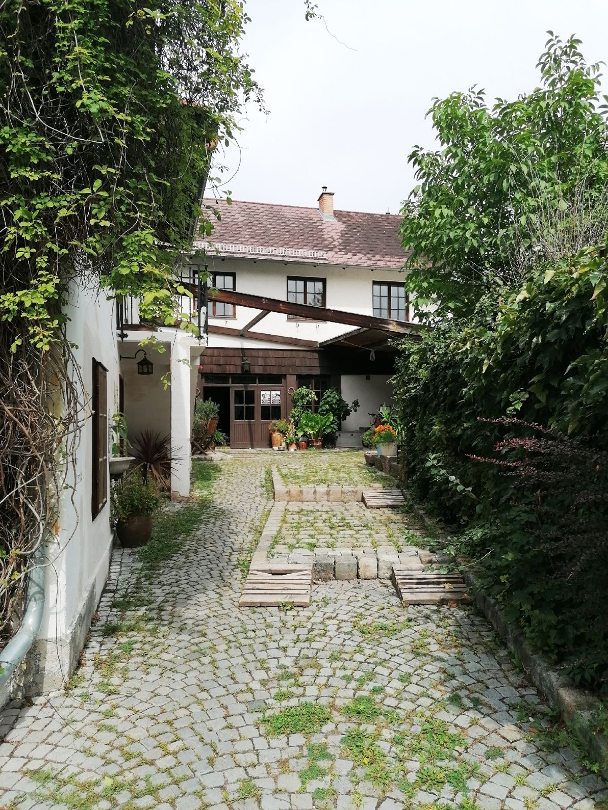 Gepflasterter Hofeingang mit Pflanzen und einem weißen Gebäude im Hintergrund.