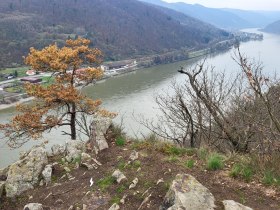 Luftbergweg, &copy; Mostviertel