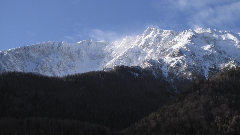 Schneebedeckter Berg mit bewaldetem Vordergrund und blauem Himmel.