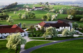 Landschaft bei Euratsfeld, © weinfranz.at