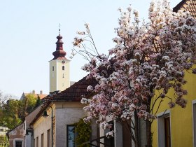 Blick auf eine Ortschaft mit einer Kirche im Hintergrund.
