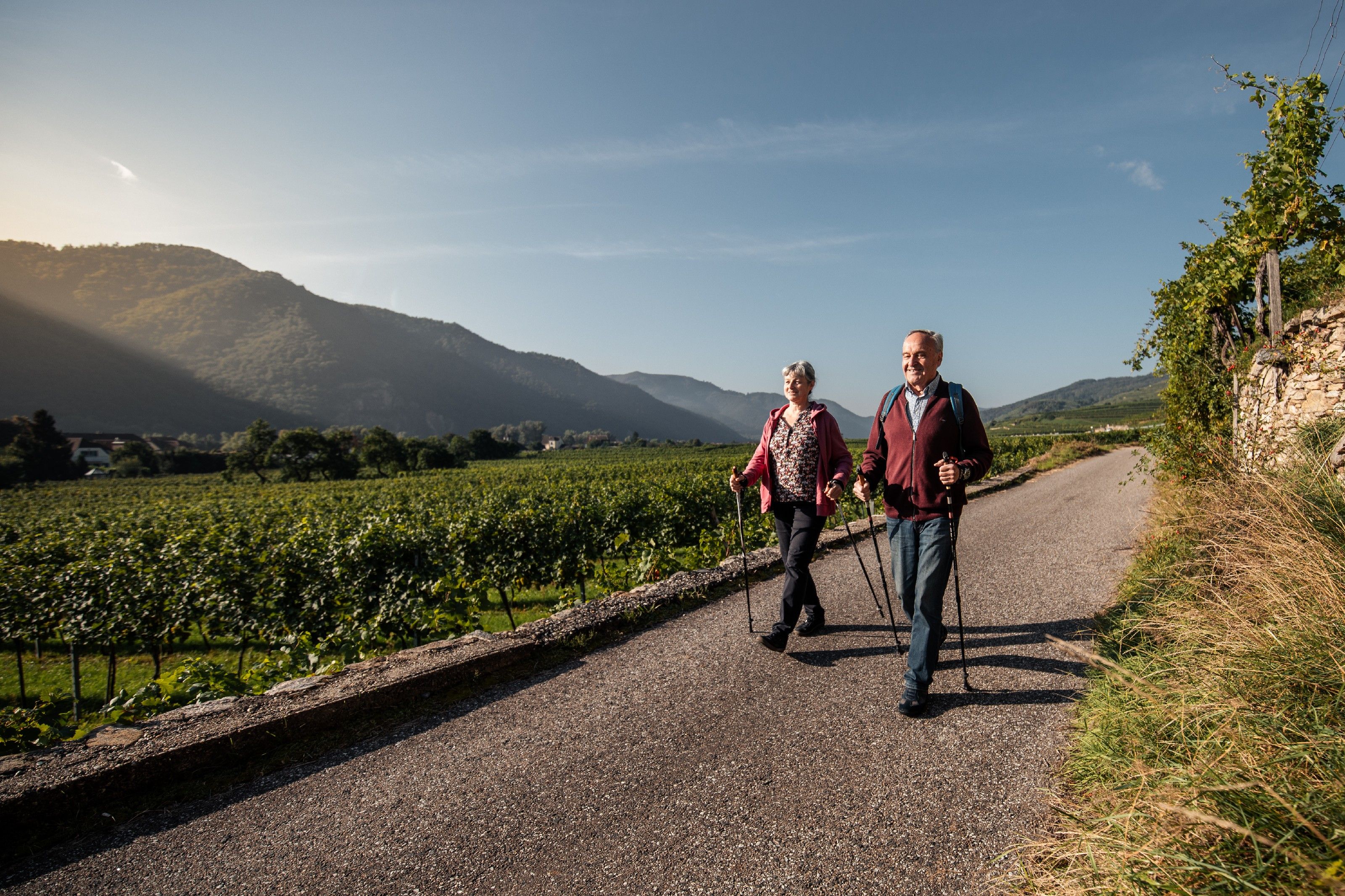Ein älteres Paar wandert mit Stöcken auf einem Weg durch Weinberge, im Hintergrund Berge und blauer Himmel.
