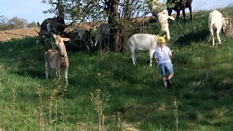 Camping-Finsterhof, © Camping Finsterhof Camping-Finsterhof, © Camping Finsterhof