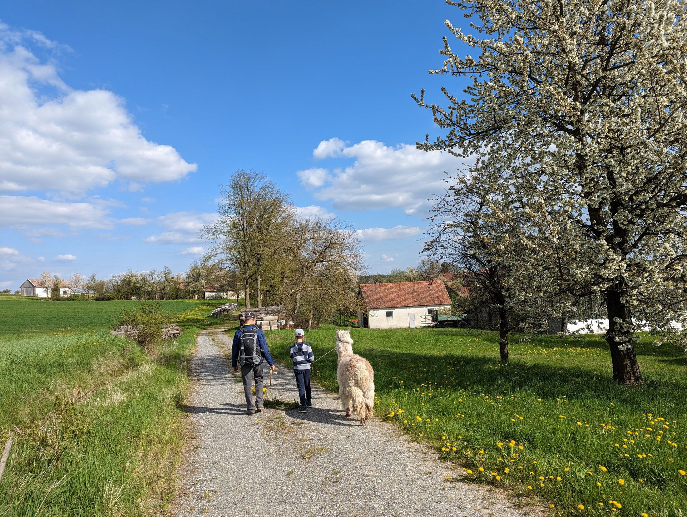 Wandern in Harth