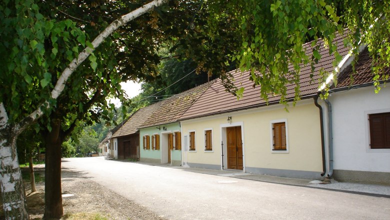 Eine ruhige Straße mit traditionellen Häusern und Bäumen in der Ahrenberger-Eichberger Kellergasse.