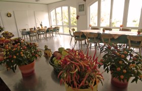 Ein heller Raum mit gro&szlig;en Fenstern, dekoriert mit Pflanzen und Obstschalen auf einem Tisch.