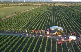 Weihathuette Landauer-Gisperg, &copy; Winzerhof Landauer-Gisperg