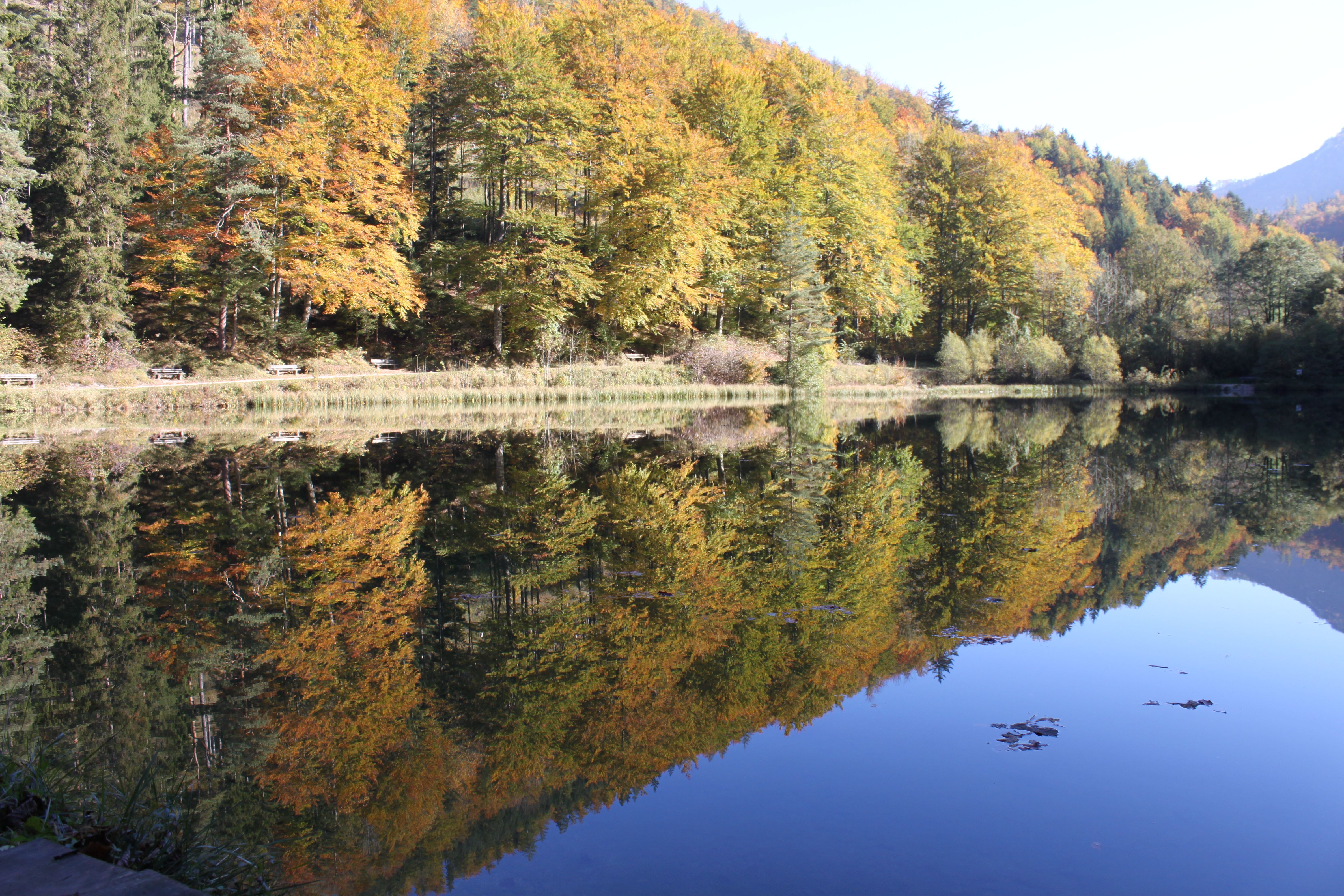 Ein ruhiger See spiegelt herbstlich gefärbte Bäume wider, die am Ufer stehen.