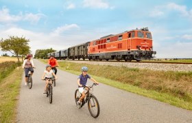 Reblausexpress Radweg, &copy; NB, Schwarz-K&ouml;nig