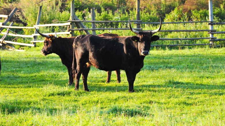 Der Natur auf der Spur, &copy; Robert Herbst