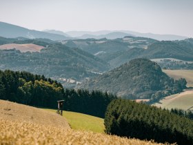 H&uuml;gelige Landschaft in Bad Sch&ouml;nau mit Feldern und W&auml;ldern, &copy; Wiener Alpen