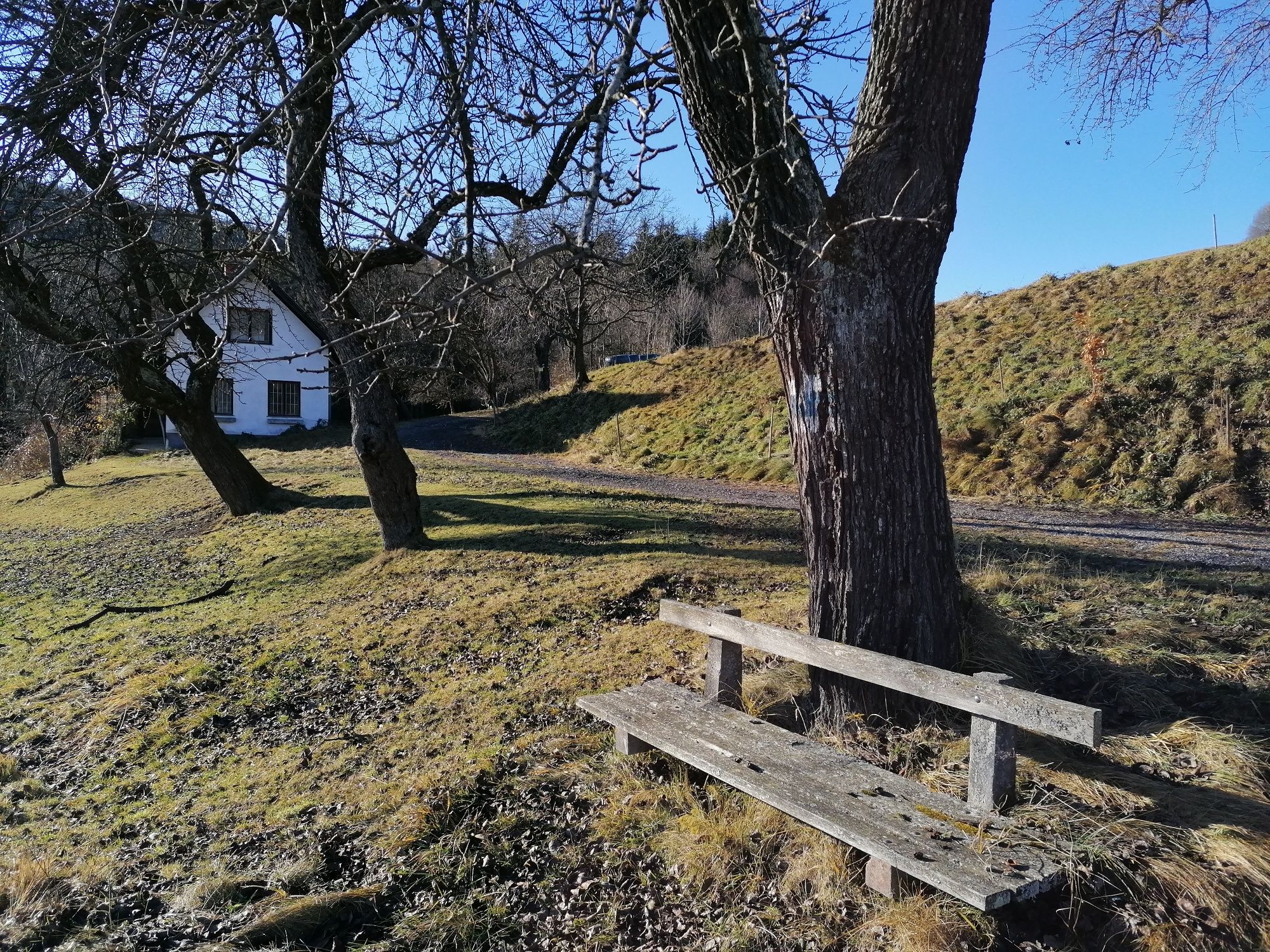 Rastplatz mit blauweißer Baummarkierung