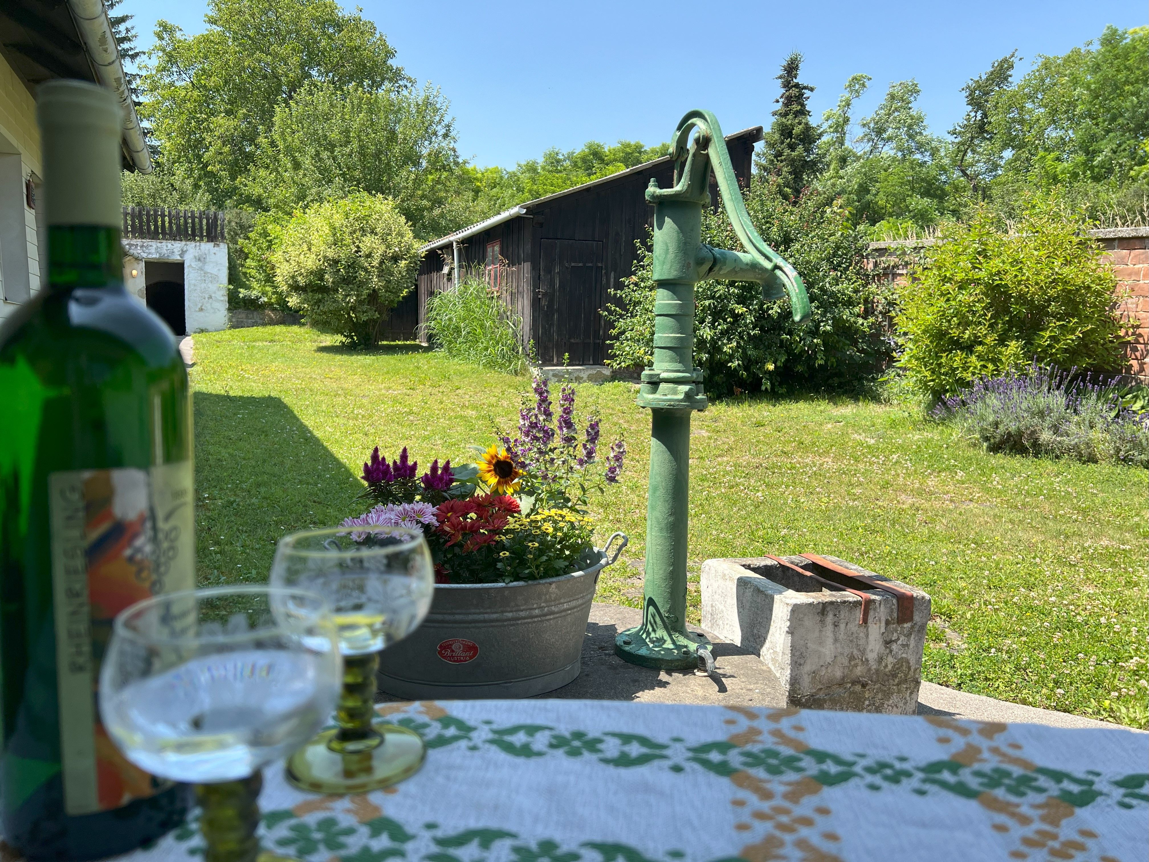 Ein grüner Innenhof mit einer alten Wasserpumpe, Blumen und einem Tisch mit Weinflasche und Gläsern.