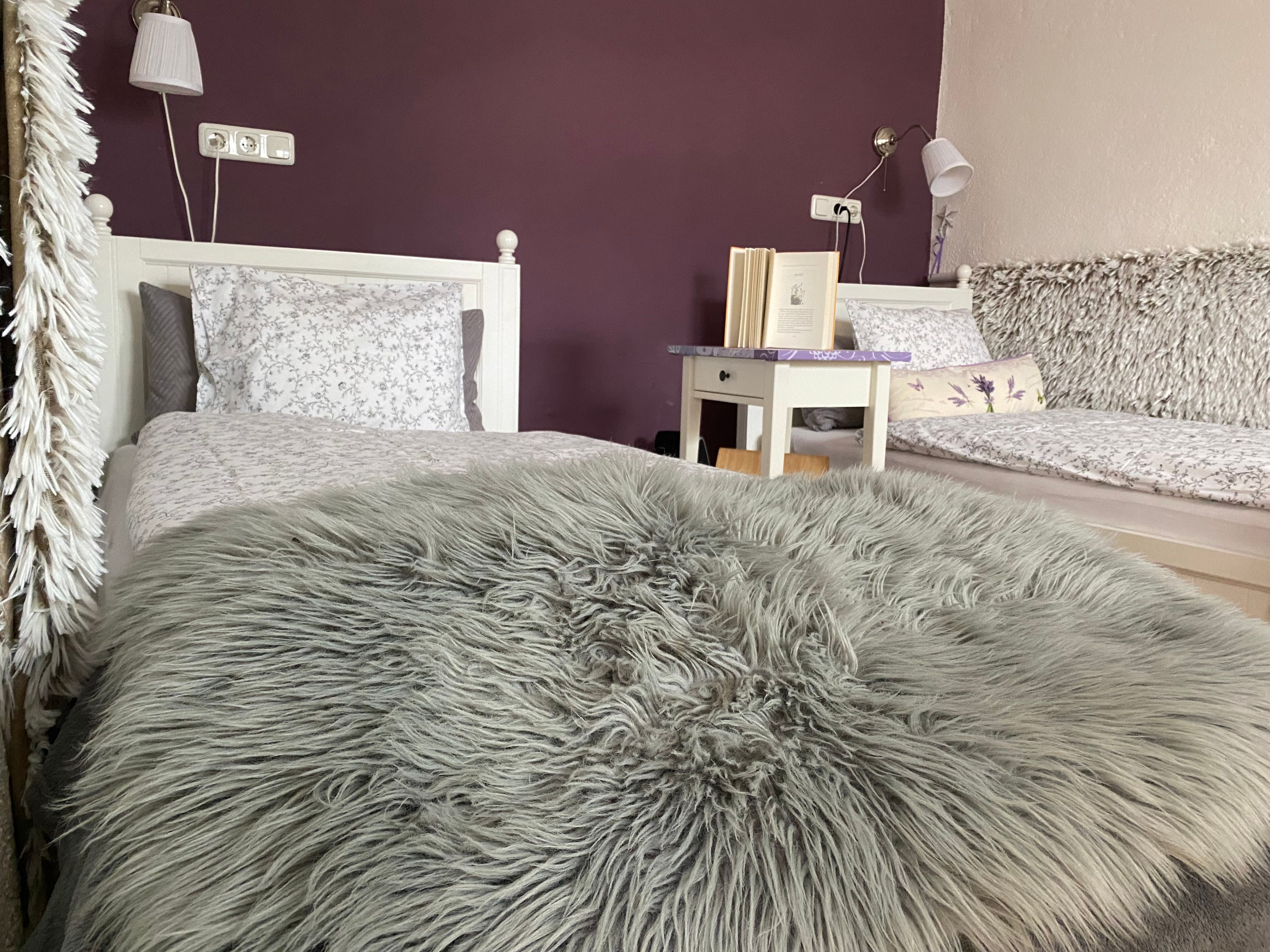 Zweibettzimmer mit lila Wand, zwei Betten, Nachttisch mit Buch und flauschiger Decke.