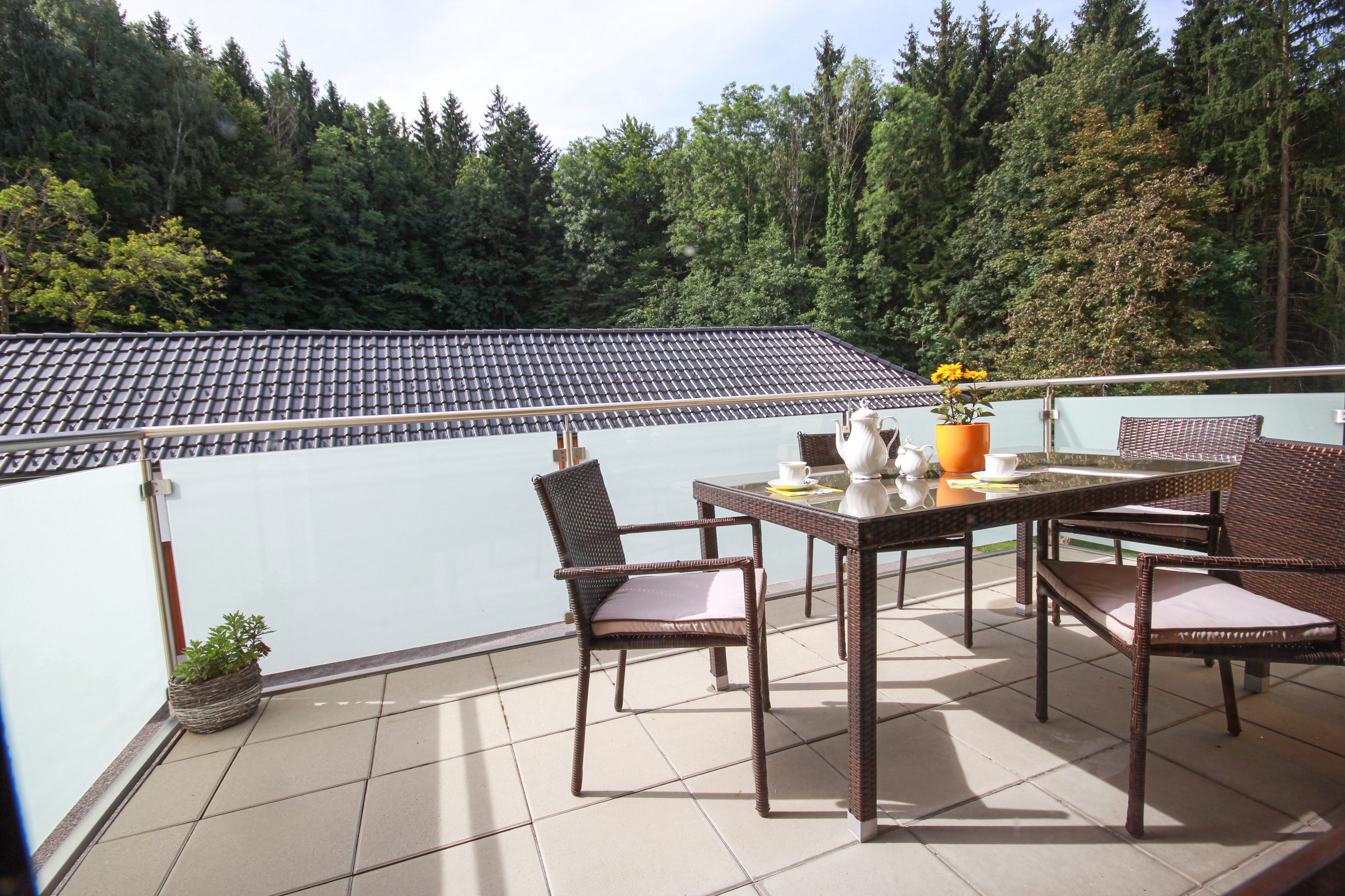 grosser-balkon-mit-blick-zum-wald