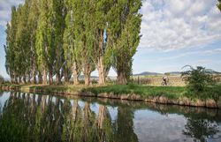 Entlang des ruhigen Kanals erstrecken sich majestätische Pappeln, die im sanften Wind wiegen. Radfahrer genießen die malerische Landschaft, während die Sonne die Umgebung in warmes Licht taucht. Hier wird der Sommer zu einem unvergesslichen Erlebnis voller Genuss und Erholung.