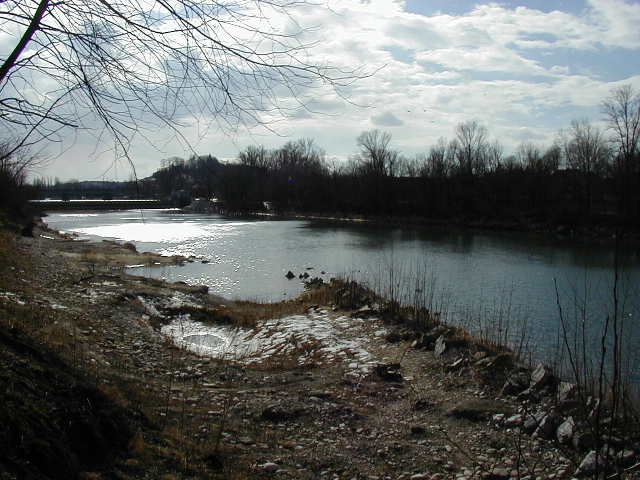 Ein ruhiger Fluss mit kahlen Bäumen am Ufer unter einem bewölkten Himmel.
