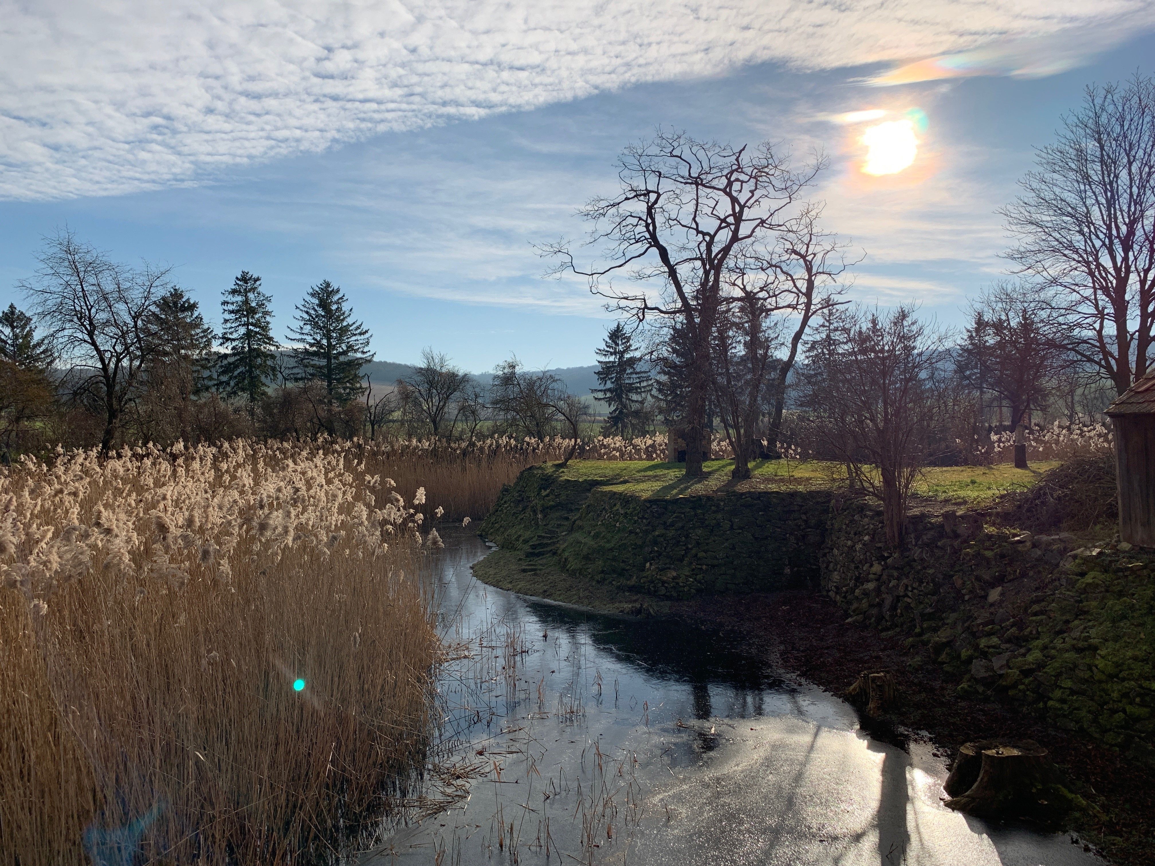 Ein Wassergraben mit Schilf und Bäumen im Sonnenlicht.