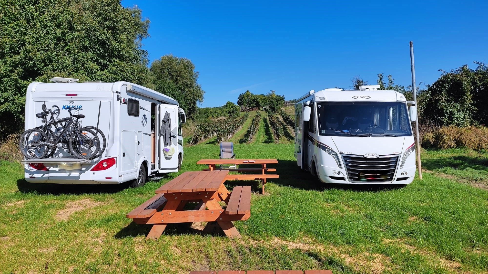 Zwei Wohnmobile stehen auf einer Wiese neben einem Picknicktisch, im Hintergrund sind Weinreben zu sehen.