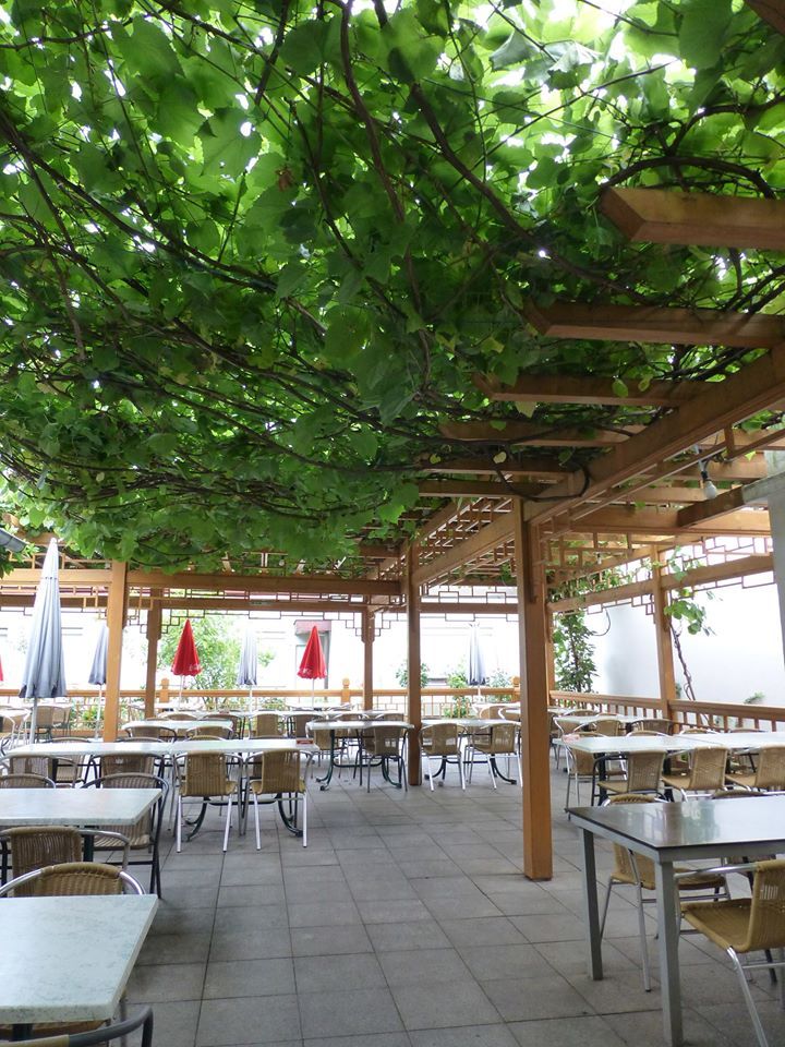 Überdachte Terrasse eines Restaurants mit Holzgitter und Weinreben.