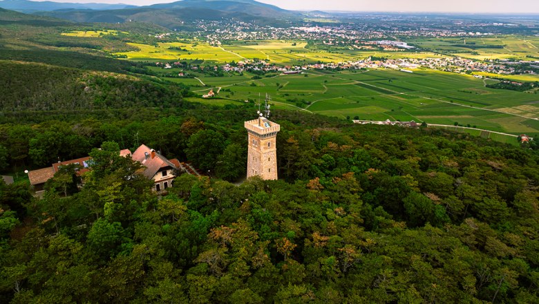Harzbergturm