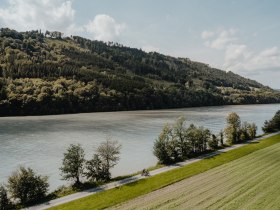 Donauradweg in Freizell, &copy; WGD Donau Ober&ouml;sterreich Tourismus GmbH