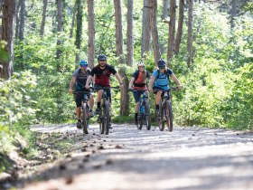 Kleine Drei Berge Runde, &copy; Wienerwald Tourismus GmbH/ Markus Fr&uuml;hmann