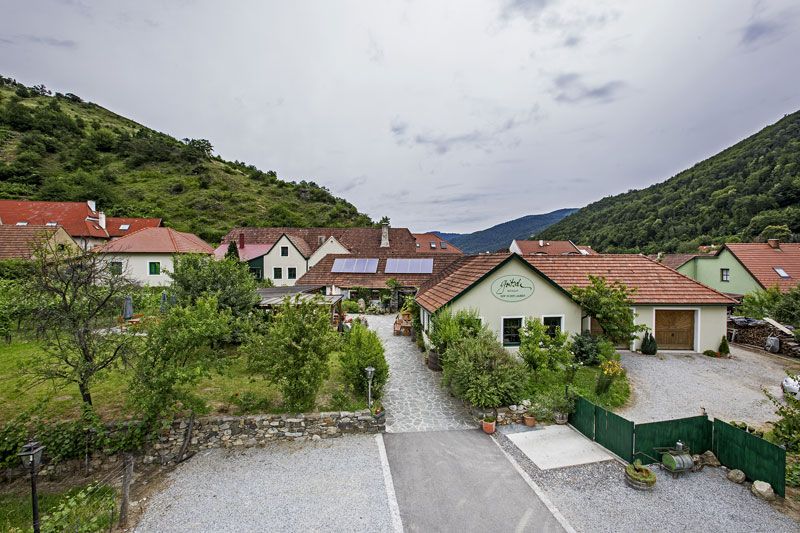 Weingut Gritsch in einer grünen, hügeligen Landschaft.