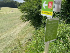 Elsbeere Singletrail, &copy; MTB-Initiative St.P&ouml;lten