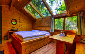 Innenansicht eines gemütlichen Holzhauses mit Bett und Tisch, umgeben von Bäumen.