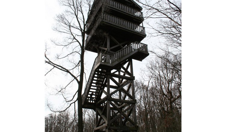 Ein h&ouml;lzerner Aussichtsturm im Wald mit mehreren Plattformen und Treppen.