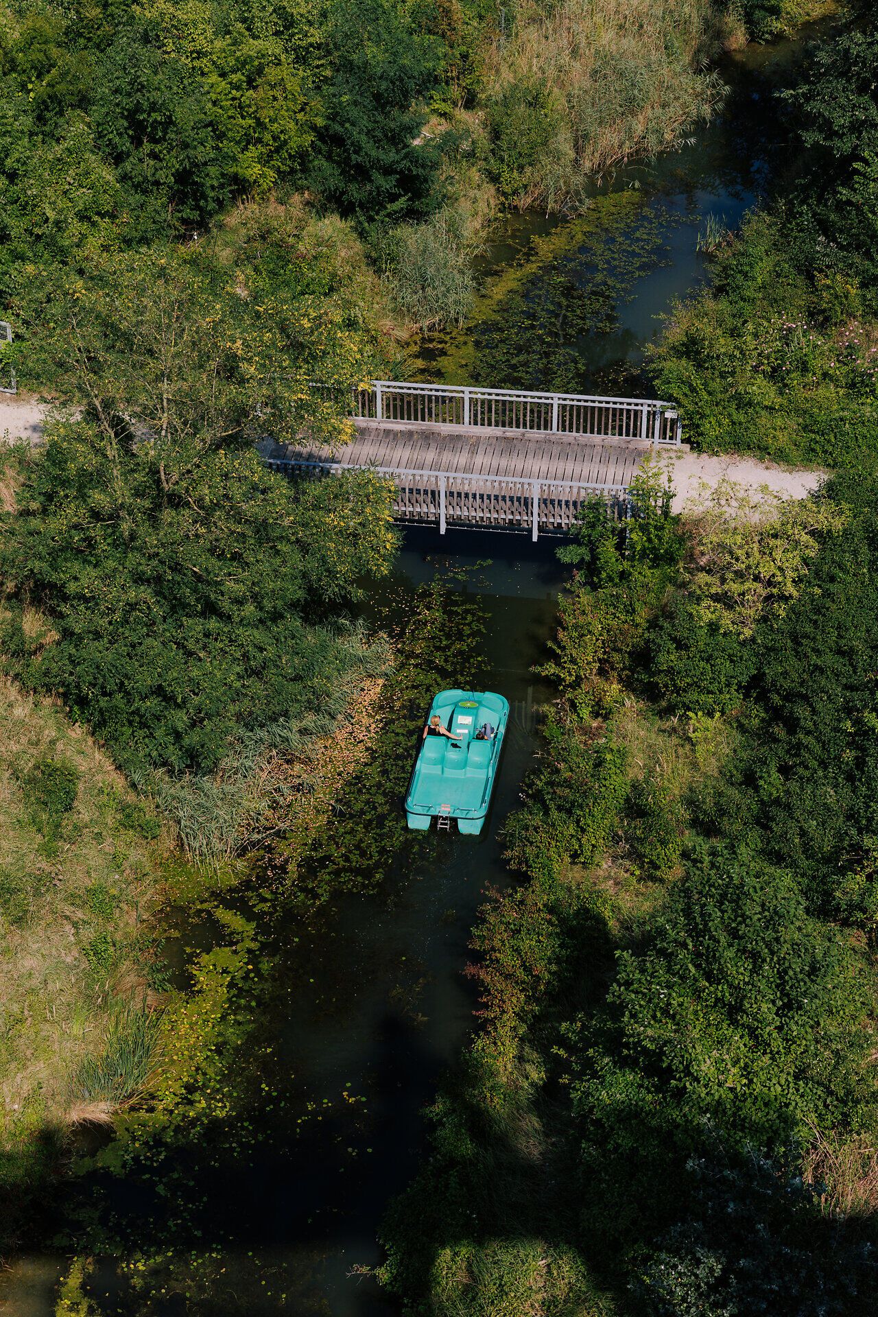 Ein sanftes Plätschern des Wassers begleitet die fröhlichen Tretbootfahrer, die inmitten üppiger grüner Ufervegetation ihre Runden ziehen. Die warmen Sonnenstrahlen spiegeln sich im klaren Wasser und schaffen eine einladende Atmosphäre für einen perfekten Sommertag im Wasserpark.