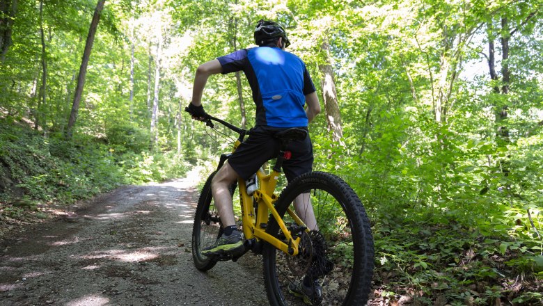 MTB-Bikder mit gelbem Bike und blauem Trikot am Waldweg