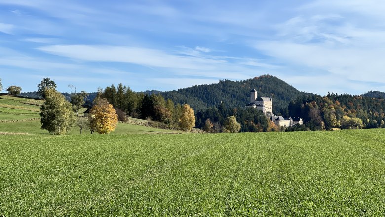Burg Rappottenstein vom Hof aus, &copy; Anna-Maria Stocker