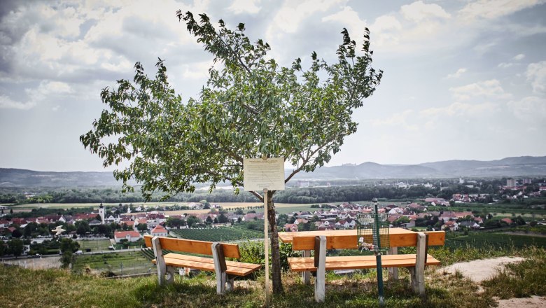 Blick auf Rohrendorf, © Schmankerl & Gast Heiderer