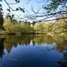 privater Waldteich, &copy; SSz