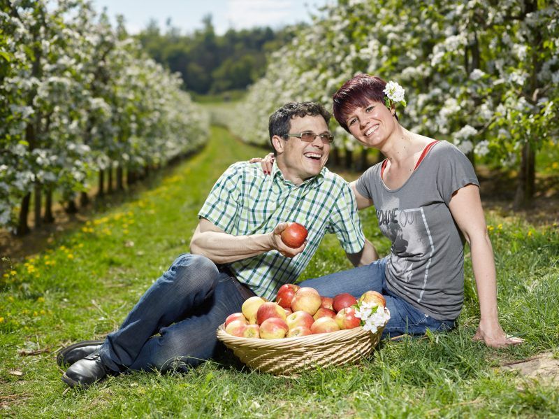 Wein- & Obstbau Fam. Rennhofer | Niederösterreich