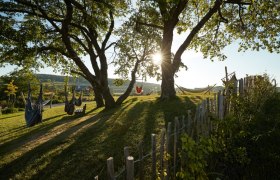 Ein Garten mit H&auml;ngematten zwischen B&auml;umen, Sonnenlicht strahlt durch die Bl&auml;tter, ein Holzzaun im Vordergrund.