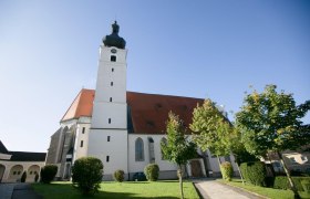 Wallfahrtskirche Mank mit Turm und rotem Dach, umgeben von Bäumen und Rasenfläche.