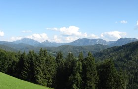 Ausblick vom Höhenstein, © Tourismusverein Lunz am See