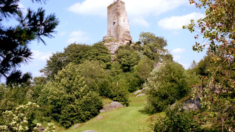 Ruine Arbesbach auf einem bewaldeten H&uuml;gel mit blauem Himmel im Hintergrund.